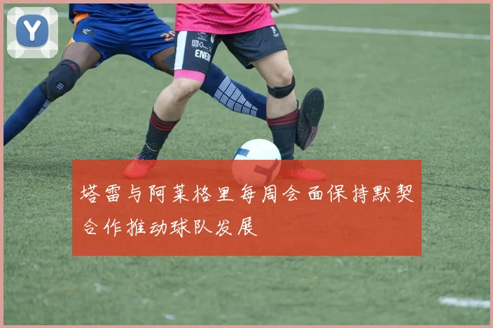 塔雷与阿莱格里每周会面保持默契合作推动球队发展