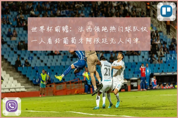 世界杯前瞻：法西领跑热门球队仅一人看好葡萄牙阿根廷无人问津